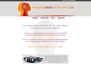 PSN Lab, Princeton